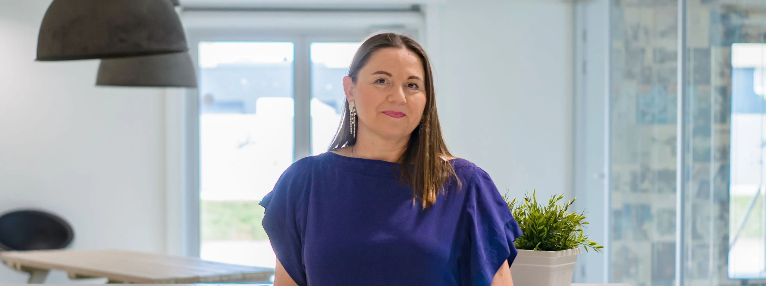 Doradztwo podatkowe Haarlem